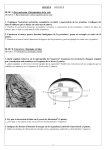 OPCIÓ B OPCIÓN B BLOC I. Base molecular i fisicoquímica de la