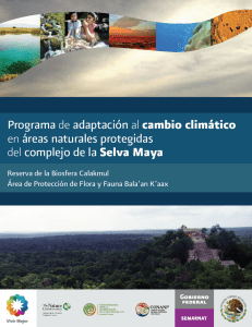RE Selva Maya - Cambio Climático en Áreas Naturales Protegidas