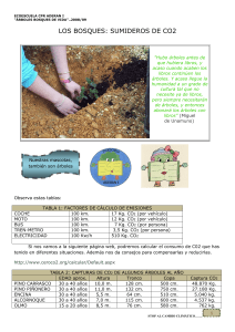 los bosques: sumideros de co2