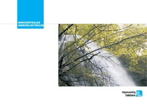 MINICENTRALES HIDROELECTRICAS