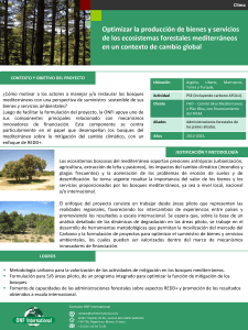 Optimizar la producción de bienes y servicios de