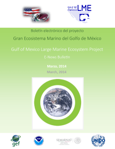Gulf of Mexico Large Marine Ecosystem Project Gran Ecosistema