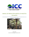 manual de producción agrícola en macetas colgantes
