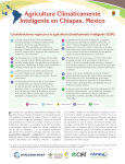 Agricultura Climáticamente Inteligente en Chiapas, México