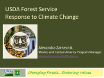 5.Forest Service and Climate Change AZ v2