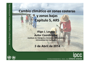 Zonas Costeras y Zonas Bajas- Iñigo Losada