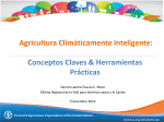 Agricultura Climáticamente Inteligente: Conceptos