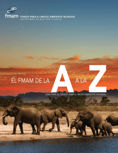 EL FMAM DE LA AA LA Z - Global Environment Facility