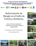 Reforestación de Manglares del Golfo de Fonseca, Honduras
