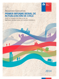 Resumen Ejecutivo PRIMER INFORME BIENAL DE