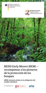REDD Early Movers (REM) — recompensar a los pioneros de la