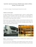 informe completo AQUI - Asociación Argentina de la Ciencia del Suelo
