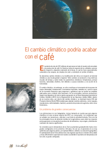 El cambio clim&aacute;tico podr&iacute;a acabar con el caf&eacute;
