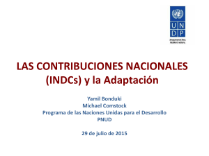 Presentaci&oacute;n PNUD - INDCs y Adaptaci&oacute;n