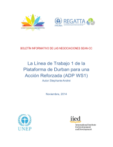 La Línea de Trabajo 1 de la Plataforma de Durban para una Acción