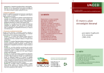 The Strategy leaflet-spanish