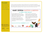 mary zepeda native garden