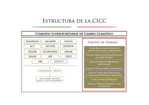 Estructura de la CICC