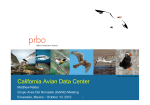 California Avian Data Center - Migratory Shorebird Project