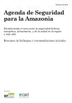 Agenda de Seguridad para la Amazonia