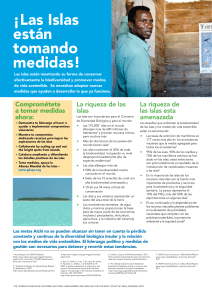 &iexcl;Las Islas est&aacute;n tomando medidas!