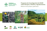 Programa de Investigación de CGIAR sobre Bosques, Árboles y