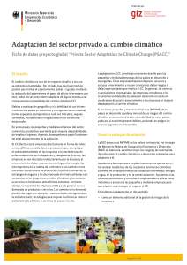 Adaptaci&oacute;n del sector privado al cambio clim&aacute;tico (PSACC)