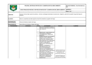 caracterizacion gestion medio ambiente