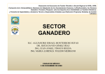 SECTOR GANADERO Dic08