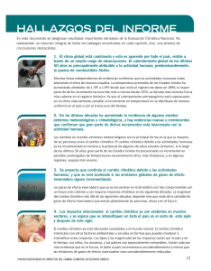 HALLAZGOS DEL INFORME