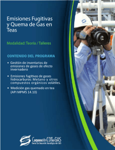 Emisiones Fugitivas y Quema de Gas en Teas