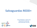 Salvaguardas REDD+