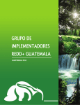 grupo de implementadores redd+ guatemala
