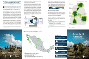 EstratEgia dE CambiO CLimátiCO dEsdE Las árEas NaturaLEs