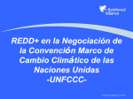 Convención Marco de Cambio Climático