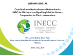 México- Dra. Itzchel Nieto Ruiz