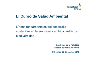 Ibán Chico de la Felicidad 51