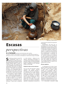 Escasas perspectivas