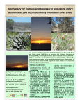 Biodiversity for biofuels and biodiesel in arid lands (BIO3)