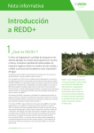 Introducción a REDD+ - EU REDD Facility