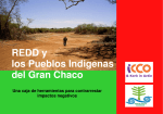 REDD y los Pueblos Indigenas del Gran Chaco
