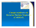 CA UADY - Facultad de Ciencias Marinas
