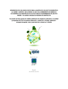 Documento lineas preliminares adaptacion