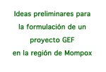 Ideas preliminares para la formulación de un proyecto GEF en la