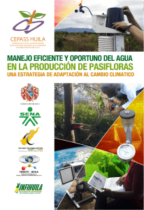 manejo eficiente y oportuno del agua en la producci&oacute;n de pasifloras