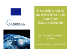 El Servicio Global de Superficie Terrestre de Copernicus: Estado y