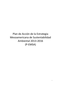 Plan de Acción EMSA_FINAL