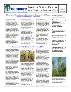 Boletín de Noticias Camcore para México y Centroamérica