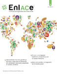 Revista EnlACe No. 26 - CIMMYT. Agricultura de Conservación