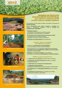 DESARROLLAR PROYECTOS ECOLÓGICAMENTE